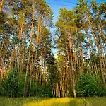 Prosportówek - - Dom Bliźniak Nad Jeziorem Z Dużym Ogrodem Сasa de vacaciones Powidz (Slupca)