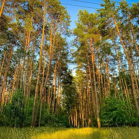 Prosportowek - Powidz - Dom Blizniak Nad Jeziorem Z Duzym Ogrodem Holiday home Powidz (Slupca)