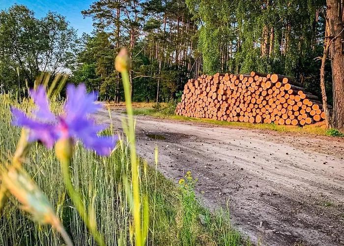 Hébergement de vacances Prosportowek - - Dom Blizniak Nad Jeziorem Z Duzym Ogrodem Powidz (Slupca)