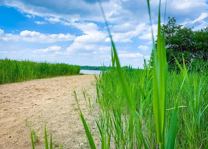 Prosportowek - - Dom Blizniak Nad Jeziorem Z Duzym Ogrodem Hébergement de vacances Powidz (Slupca)