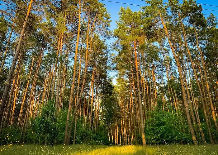 Prosportowek - - Dom Blizniak Nad Jeziorem Z Duzym Ogrodem Vakantiehuis Powidz (Slupca)